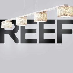 Reef Suspension